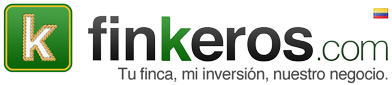 Finkeros.com - El portal 
