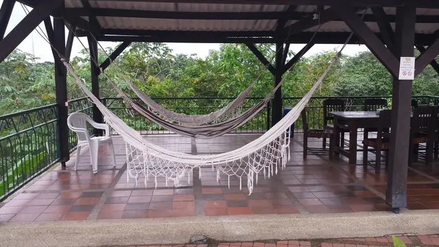 Hamacas en una terraza frente al verde, Llanos