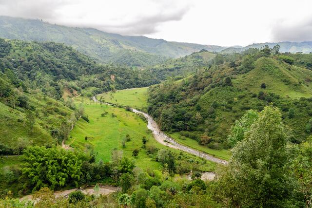 Paisaje de Quindío: Valle del río Navarco, Salento