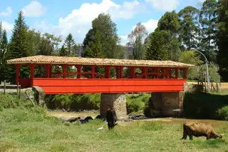 Puente Mejía, Rionegro